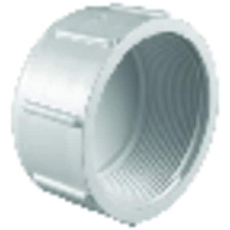 Charlotte Pipe And Foundry Charlotte Pipe Schedule 40 1 in. FPT X 1 in. D FPT PVC Cap 1 pk PVC 02117 1200